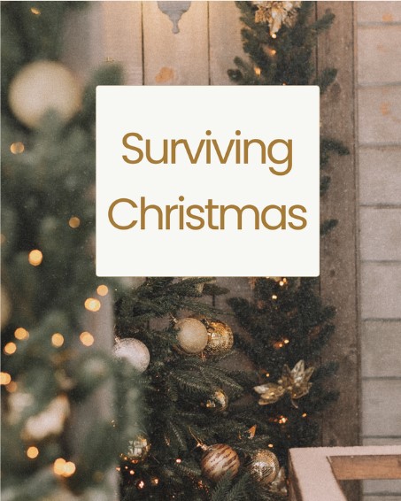surviving_christmas